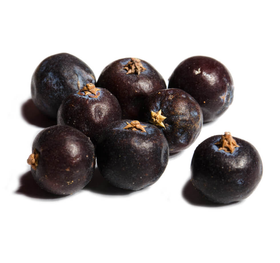 Wacholderbeeren ganz italienische Riesen als loses Gewürz - ideal für kräftige Wildgerichte