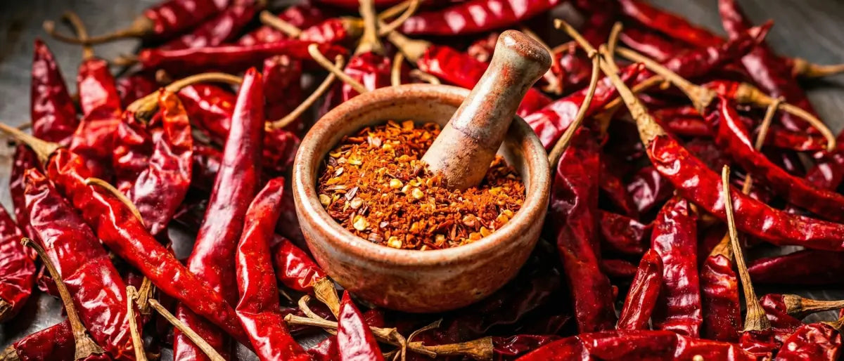Chili & Chilipulver