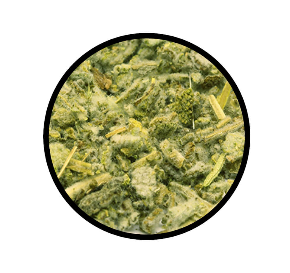 Nahaufnahme der Blattstruktur von Beifuss geschnitten - original Thüringer von STAY SPICED! bei Chefkoch-Gewürze