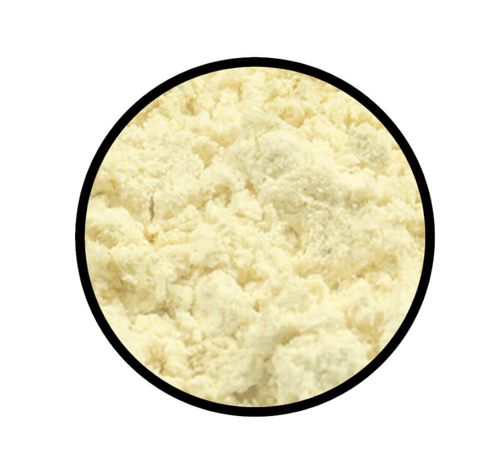 Nahaufnahme des feinen Pulvers von Bockshornkleesamen gemahlen von STAY SPICED! bei Chefkoch-Gewürze