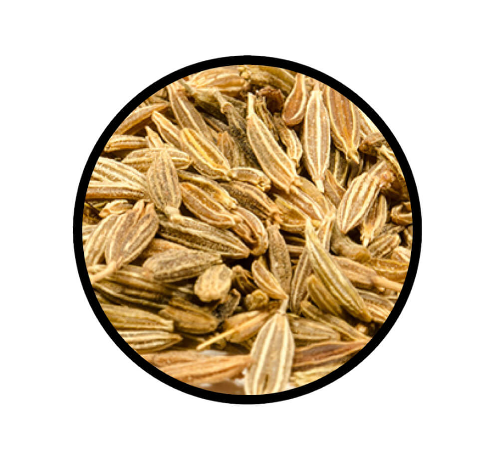 Nahaufnahme der ganzen Samen von Cumin - Kreuzkümmel - ganz von STAY SPICED! bei Chefkoch-Gewürze