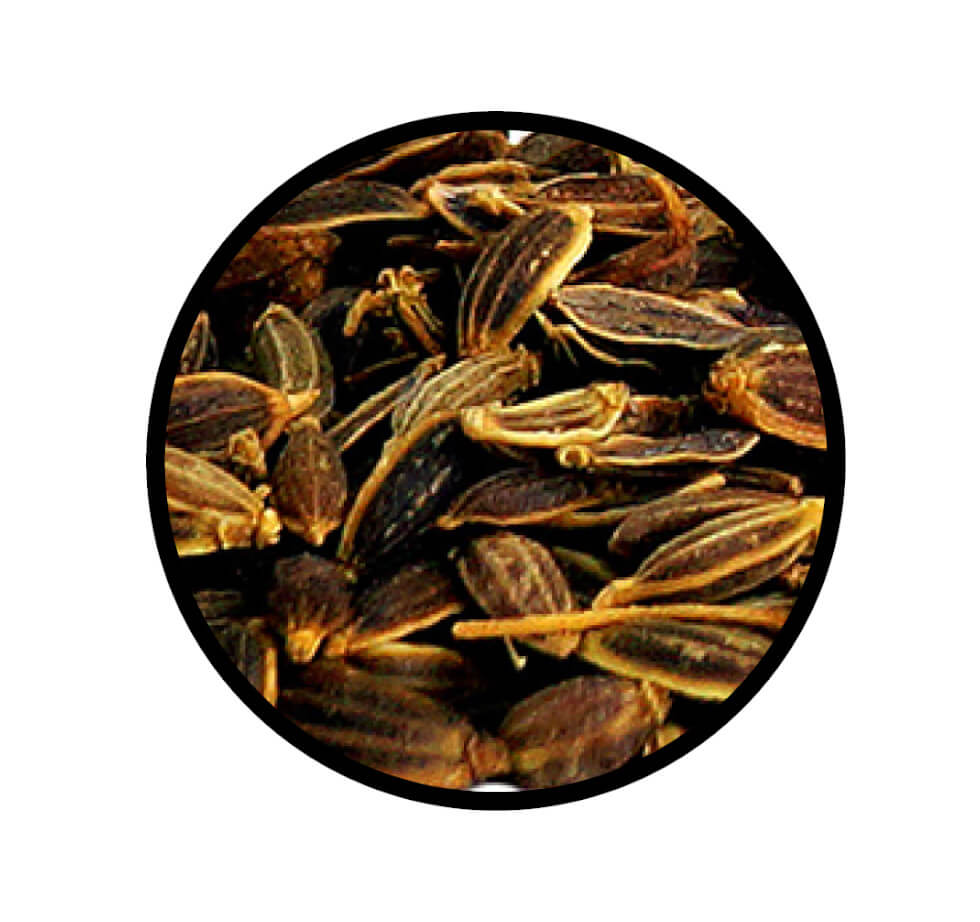 Nahaufnahme der ganzen Samen von Dillsaat - Gurkenkümmel von STAY SPICED! bei Chefkoch-Gewürze