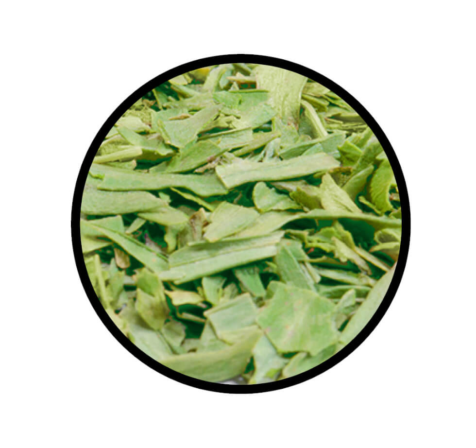 Nahaufnahme der getrockneten Blätter von Estragon geschnitten - französisch von STAY SPICED! bei Chefkoch-Gewürze