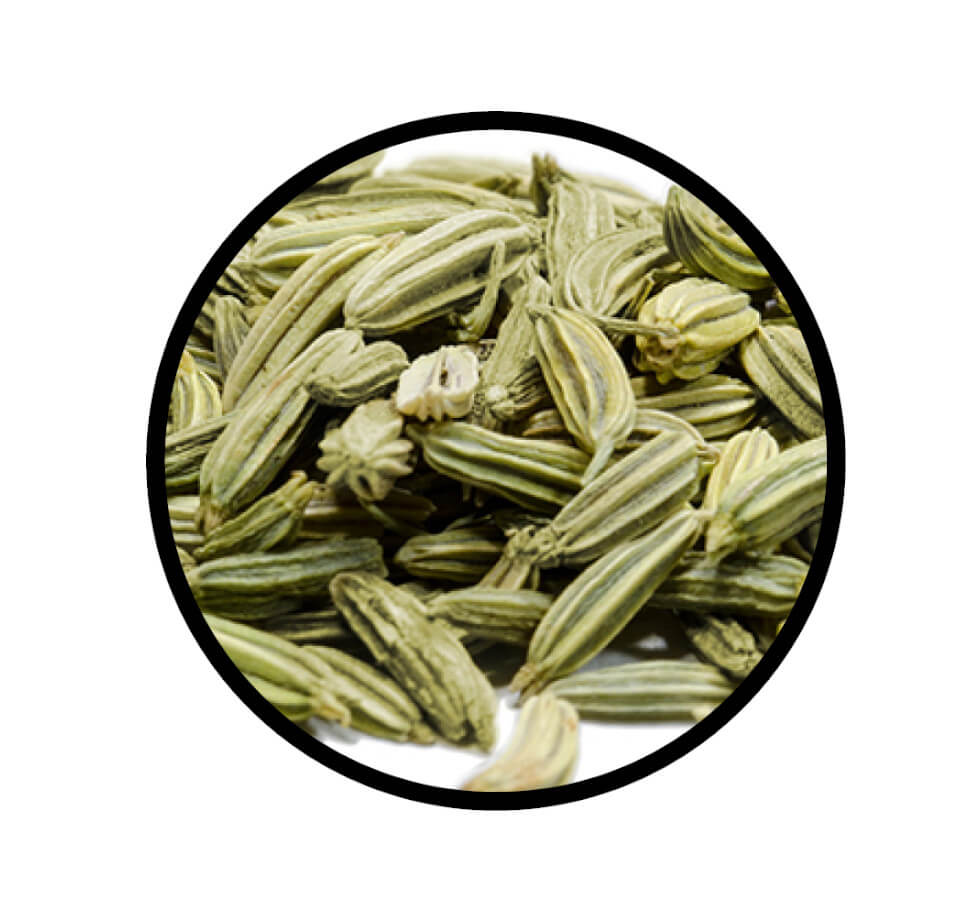 Nahaufnahme der getrockneten Samen von Fenchel grün ganz von STAY SPICED! bei Chefkoch-Gewürze