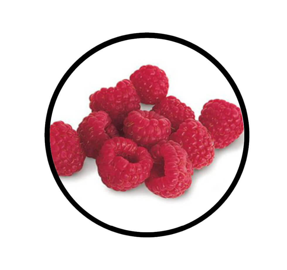 Nahaufnahme der Früchte von Himbeeren, gefriergetrocknet von STAY SPICED! bei Chefkoch-Gewürze