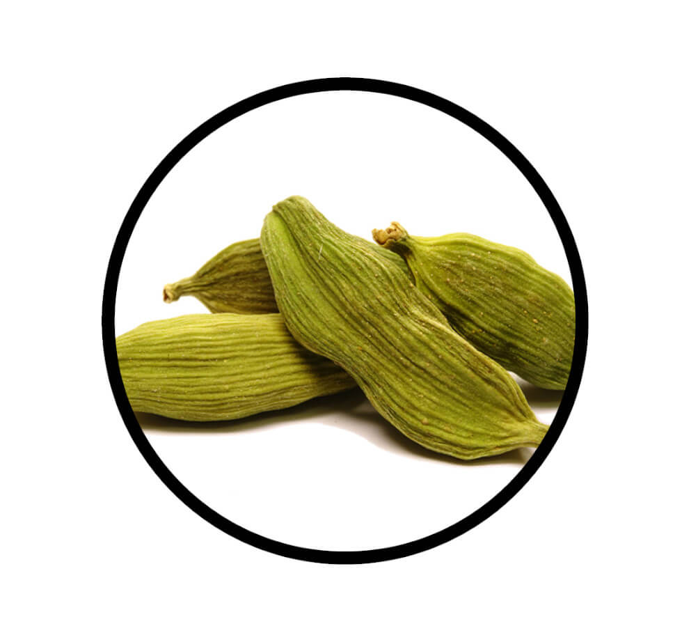 Nahaufnahme der grünen Kapselfrüchte von Kardamom grün ganz von STAY SPICED! bei Chefkoch-Gewürze