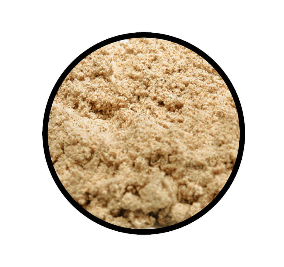 Nahaufnahme des fein gemahlenen Pulvers von Kardamom in der Hülse gemahlen von STAY SPICED! bei Chefkoch-Gewürze