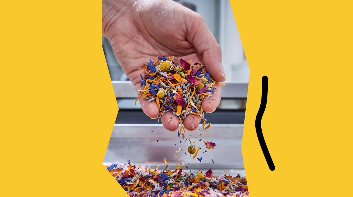 Eine Hand präsentiert über einer Metallschale eine bunte Mischung aus reinen Gewürzen und Blüten. Natürliche Reingewürze in bester Qualität für volle Würzkraft.