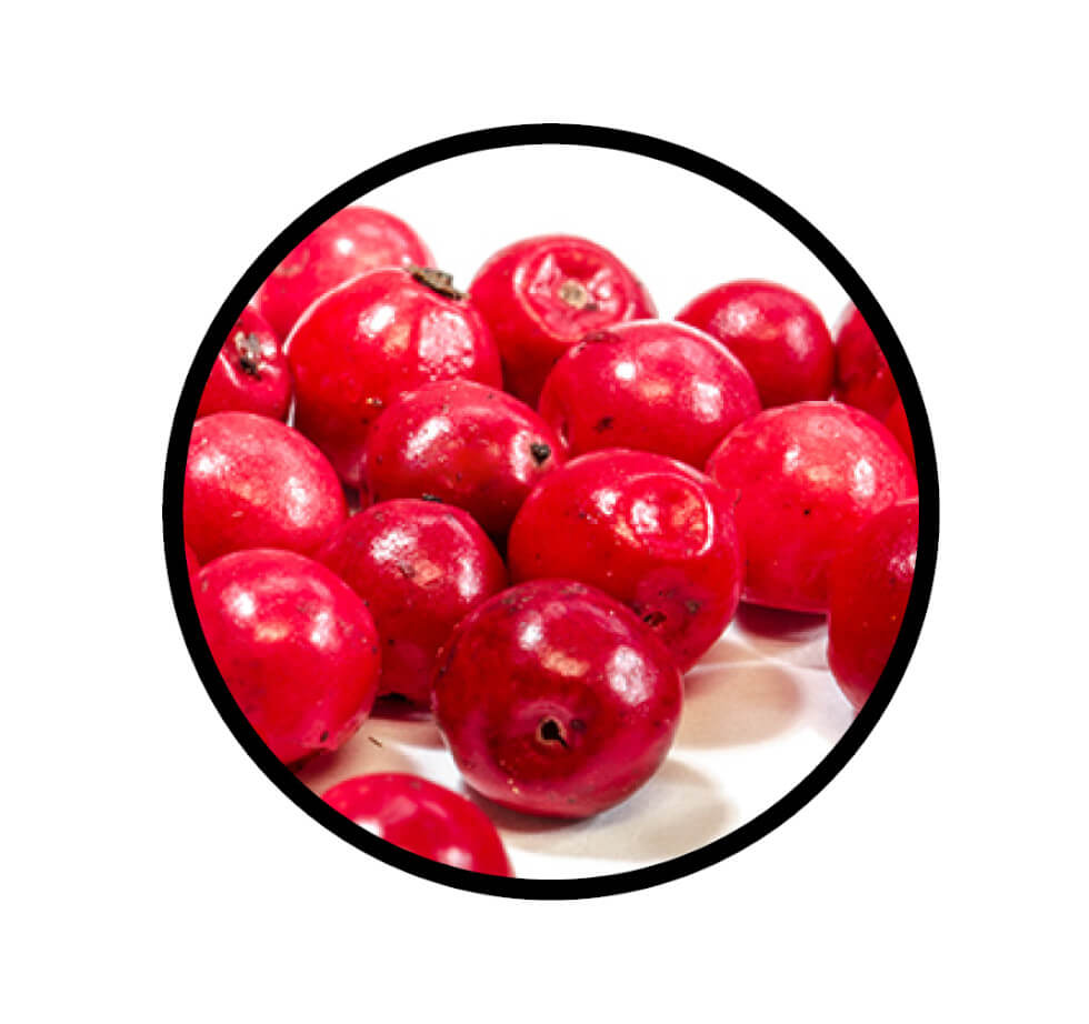 Rosa Beeren ganz - Detaillierte Nahaufnahme der Textur / Struktur