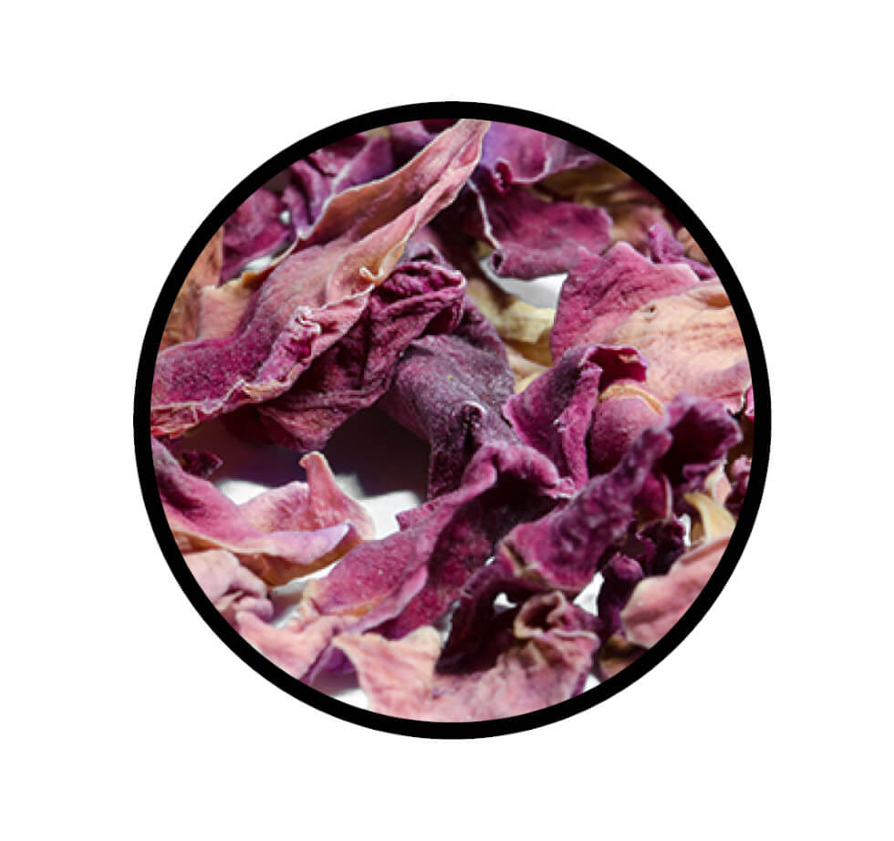 Rosenblüten geschnitten - Detaillierte Nahaufnahme der Textur / Struktur